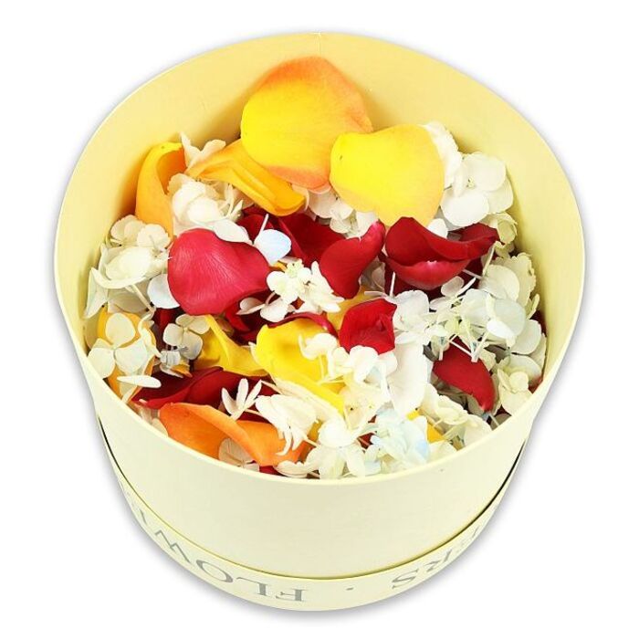 The photograph presents a single, round hatbox set against a pristine white background, its pale cream-yellow exterior softly glowing as if lit by gentle daylight through a window on a quiet Bellingham side street. The box is simple and elegant, with smooth, matte sides and a slightly raised rim around the top edge, where the subtly debossed word FLOWERS can be partially read, curving with the contour of the cylinder. From this refined container, a generous mound of dried petals and petite florets spills upward, just cresting the rim, creating the impression of a full, thoughtfully curated tribute. Dominating the blend are large rose petals in rich, velvety crimson, their folds catching minute shadows that suggest softness even in their dried state. Interwoven are lively strokes of sunny yellow and muted peach-orange rose petals, whose tones are warm but not overpowering, echoing the gentle glow of candlelight at a memorial service. Scattered delicately throughout the mix are clusters of tiny white blossoms, resembling dried hydrangea florets, some tinged with the faintest blue haze. These miniature flowers lend a feathery, almost lace-like texture, softening the boldness of the rose petals and evoking a sense of calm and serenity. The slightly elevated viewing angle allows the viewer to appreciate the density and variety of the petals, while the pure white backdrop removes all distraction, turning the arrangement into a quiet focal point. This dried flower composition feels ideal for creating floral scattering petals for a funeral, adorning a remembrance table in a Bellingham home, or filling shallow bowls at a wake, bringing natural beauty and a sense of enduring love to moments of farewell.