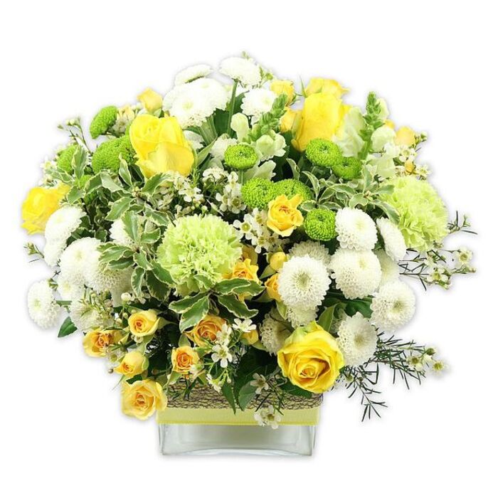 A lush, carefully constructed floral display sits proudly in a clear, square glass vase, photographed against a bright white backdrop that makes every hue of yellow, green, and white appear vivid and pure. The bouquet forms a generous domed shape, giving the impression of a small, hand-tended garden gathered at its peak. Dominating the arrangement are yellow roses, some open wide to reveal their many layered petals, others caught in that graceful moment just before full bloom. These are interlaced with petite yellow spray roses that tuck themselves between larger blooms, creating texture and a sense of natural, effortless abundance. Surrounding and supporting the roses, white pompom chrysanthemums appear as dense, rounded cushions, their many fine petals creating a plush, almost velvety effect. Dotted among them are bright lime green button chrysanthemums, small and globe-like, which bring a zesty, modern twist. Larger, softly ruffled pale green blooms, reminiscent of green carnations or specialty chrysanthemums, provide volume and a gentle, frothy lightness. The foliage is rich and varied: broad variegated leaves edged with cream, slender dark green sprigs, and fine filler greenery all work together to frame the flowers and create depth. Tiny white, star-shaped filler flowers glimmer between the stems, offering a delicate counterpoint to the bolder shapes. Around the middle of the vase, a band of rustic, bark-like or woven natural fibre is wrapped snugly, finished with a bright lime green ribbon that echoes the fresh tones within the bouquet. This arrangement would sit beautifully on a dining table in a home off Southend Lane or brighten a reception desk near Bellingham's local shops, radiating feelings of renewal, celebration, and cheerful calm.